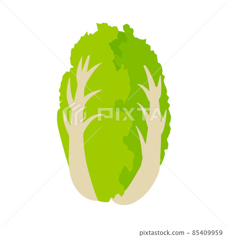大白菜蔬菜圖標 85409959