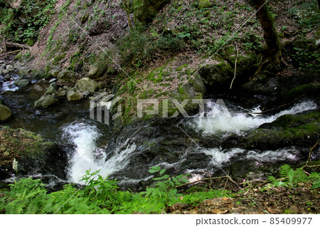 Tendaki A famous waterfall selected as one of the 100 best waterfalls in Japan in Oya-cho, Yabu City, Hyogo Prefecture. Tendaki A famous waterfall selected as one of the 100 best waterfalls in Japan in Oya-cho, Yabu City, Hyogo Prefecture. 85409977