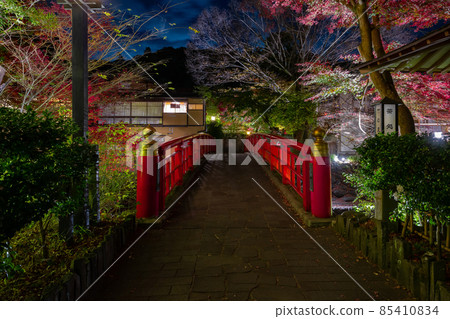 Shuzenji, Izu City, Shizuoka Prefecture Shuzenji Onsen Town (night) during the fall foliage season 85410834