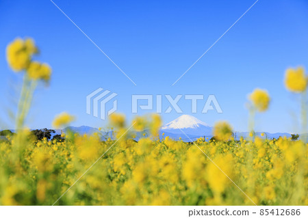 Soleil Hill (Winter) 85412686