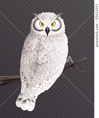 Realistic Snowy Owl Composition Realistic Snowy Owl Composition 85412883