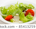 Vegetarian salad - greens, tomato and onion 85413259