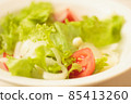 Vegetarian salad - greens, tomato and onion 85413260