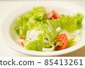 Vegetarian salad - greens, tomato and onion 85413261