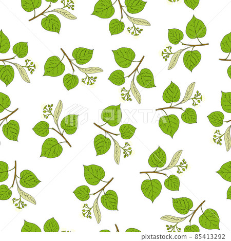 Seamless vector pattern with linden tree branches. Seamless vector pattern with linden tree branches. 85413292