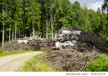 gravel forest road with large piles of branches on both sides of the road gravel forest road with large piles of branches on both sides of the road 85413534