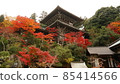 Miyajima Autumn leaves 85414566