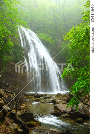 forest waterfall and rocks covered with moss forest waterfall and rocks covered with moss 85414640