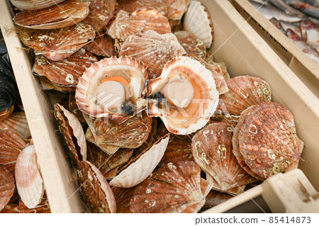 Fresh Scallops on a seafood market at Dieppe France Fresh Scallops on a seafood market at Dieppe France 85414873