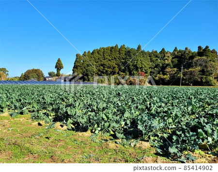 Solar power generation Agricultural land Private house Satoyama symbiosis Energy shortage Energy soaring Solar power generation Agricultural land Private house Satoyama symbiosis Energy shortage Energy soaring 85414902