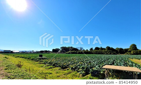 Solar power generation Solar energy shortage Energy soaring Energy self-sufficiency 85414950
