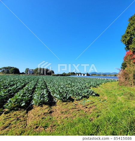 Solar power generation Agricultural land Private house Satoyama symbiosis Carbon pricing Environmental problems Energy self-sufficiency Food self-sufficiency 85415086
