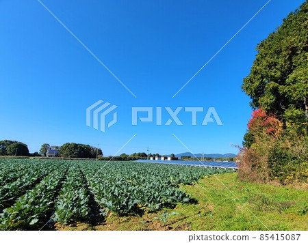 Solar power generation Agricultural land Private house Satoyama symbiosis Carbon pricing Environmental problems Energy self-sufficiency Food self-sufficiency 85415087