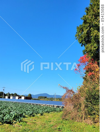 Solar power generation Broccoli field Private house Satoyama symbiosis Environmental problems Energy self-sufficiency Food self-sufficiency 85415088