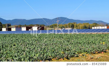 太陽能發電 西蘭花田 私宅 里山共生 環境問題 能源自給 糧食自給 85415089