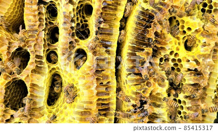 Japanese Honeycomb Honeycomb Capsule Hotel? Japanese Honeycomb Honeycomb Capsule Hotel? 85415317