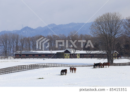 北海道石狩地區的一個農場風景 85415351