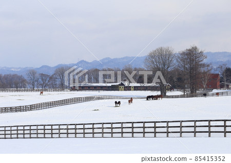 北海道石狩地區的一個農場風景 北海道石狩地區的一個農場風景 85415352