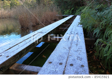 Wooden walkway in a frosty winter park 85415921