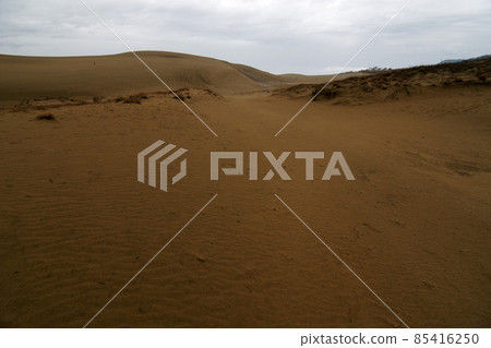 Tottori Four seasons walk winter Tottori sand dunes Tottori Four seasons walk winter Tottori sand dunes 85416250
