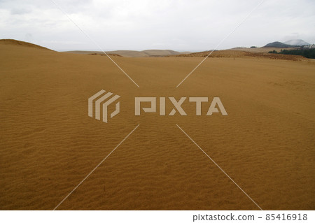 Tottori Four seasons walk winter Tottori sand dunes Tottori Four seasons walk winter Tottori sand dunes 85416918