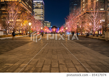 《東京》東京站 / 冬季燈飾 85417074