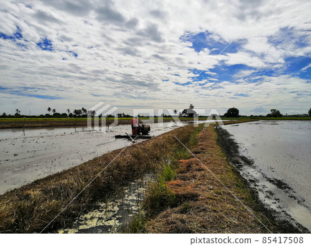 Landscape of rice field on rice paddy and tractor Landscape of rice field on rice paddy and tractor 85417508