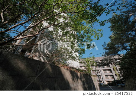[Ruins] Scenery of Ikejima 85417555