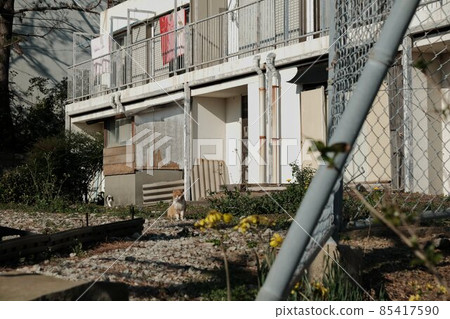 [Ruins] Scenery of Ikejima 85417590