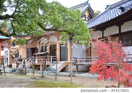 Tatsuta Shrine 85417603