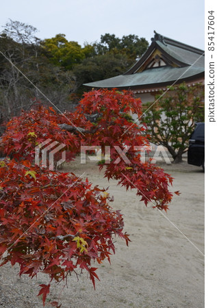 Tatsuta Shrine 85417604