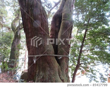 高岡神社 85417799
