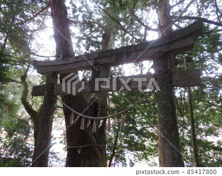 高岡神社 高岡神社 85417800