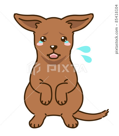 Frightened Miniature Pinscher (Red) Frightened Miniature Pinscher (Red) 85418104
