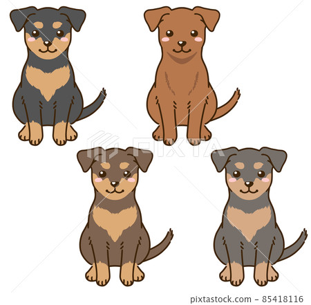 各種毛色斷耳的微型杜賓犬 插圖素材 圖庫