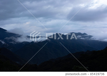 冬天屋久島的風景(Mononoke no Mori)~九州的世界自然遺產~ 冬天屋久島的風景(Mononoke no Mori)~九州的世界自然遺產~ 85419736