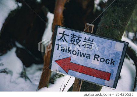 冬天屋久島的風景（Mononoke no Mori）～九州的世界自然遺產～ 85420525