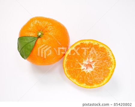 橘子 85420802