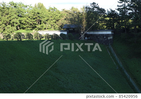 Imperial Palace Kita Bridge Bridge 85420956