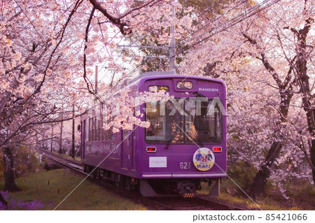Randen running through the cherry blossom tunnel before sunrise Randen running through the cherry blossom tunnel before sunrise 85421066