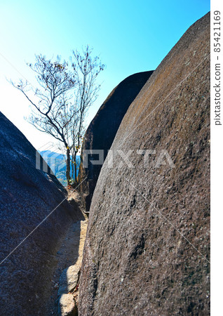 鬼岩公園 蓮海波 水波市 85421169