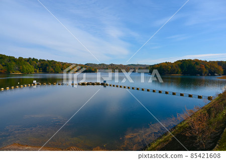 Lake Matsuno Matsuno Dam Hida Kisogawa National Monument Mizunami City Lake Matsuno Matsuno Dam Hida Kisogawa National Monument Mizunami City 85421608