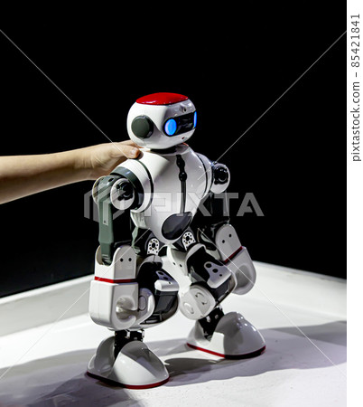 model robot in the hands of a child at the exhibition model robot in the hands of a child at the exhibition 85421841