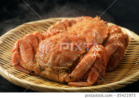 發蟹 85421973