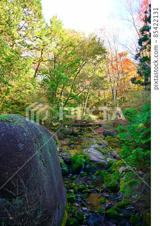 Oniiwa Park Rocky Promenade Valley / Rock Tour Course Mizunami City 85422131