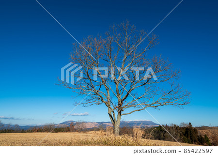 Snow cover of Kuju mountain range seen from Aso outer ring mountain Oshido stone hill in winter 85422597