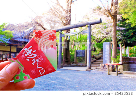 [Kanagawa] Spring Kamakura, a woman's hand holding a love fortune with the stone torii gate of Kuzuhara Oka Shrine 85423558