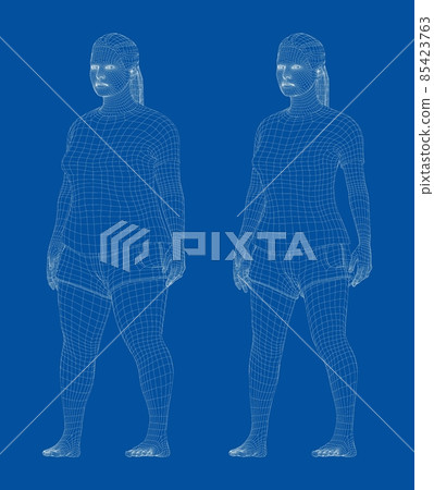 Fat and slim woman, before and after weight loss Fat and slim woman, before and after weight loss 85423763