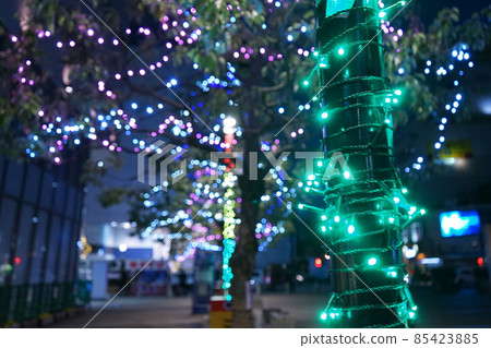 Utsunomiya City Niarayama Shrine Illuminations 85423885