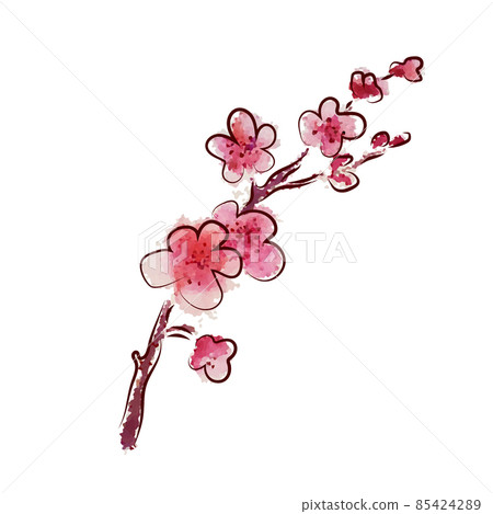 a sprig of cherry blossoms. Vector illustration 85424289